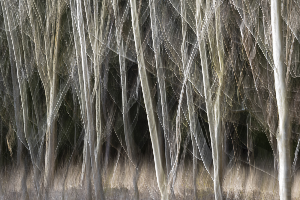 Platz 2 Juergen Bernd